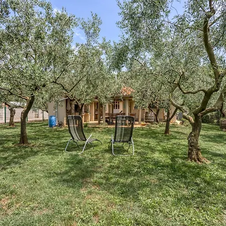 Casa Oliva Kim Marie - Happy