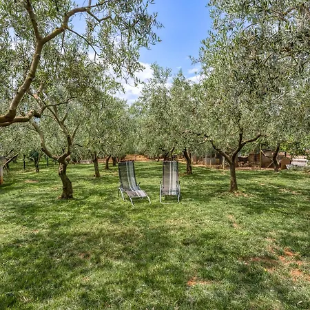 Casa Oliva Kim Marie - Happy Медулин